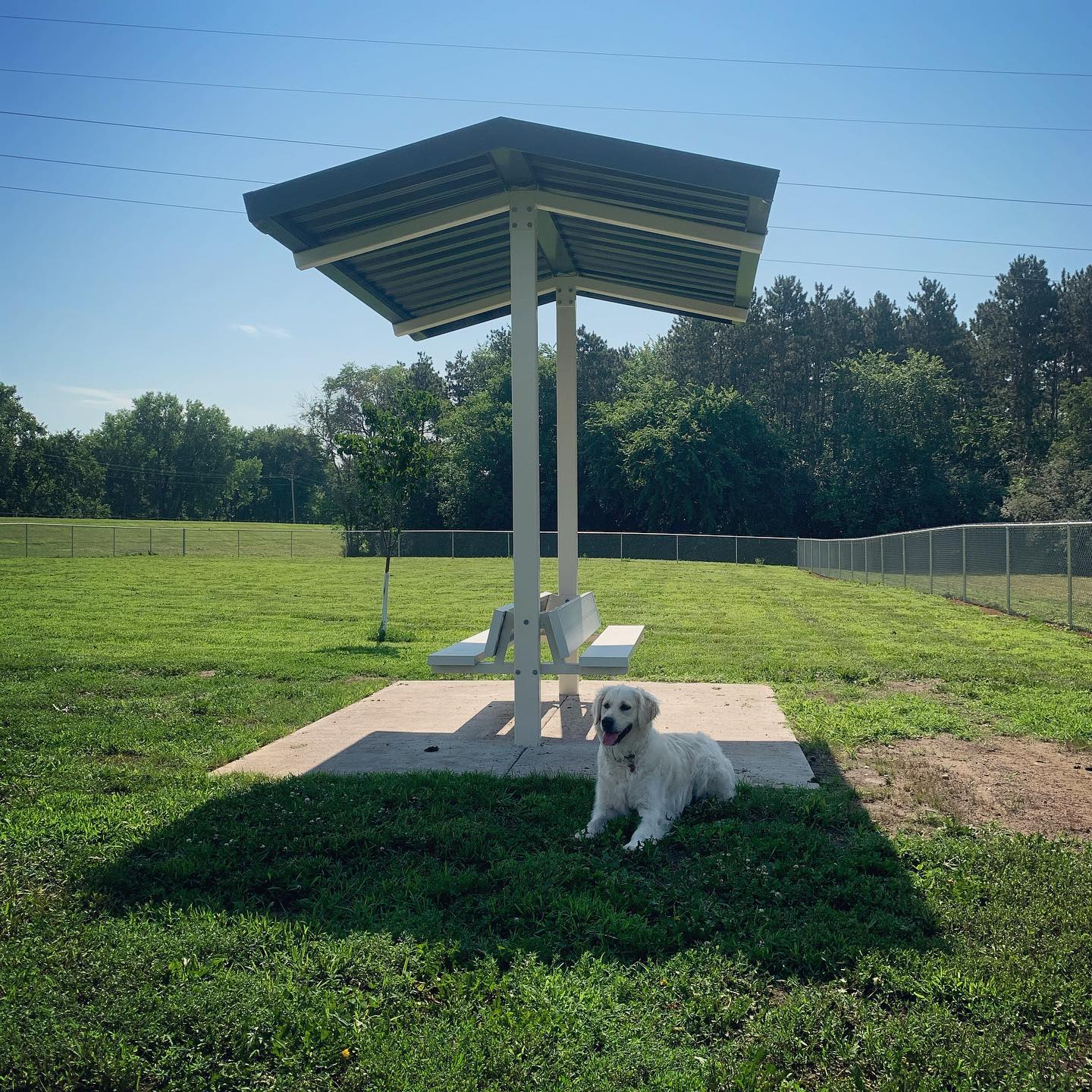 Dog Park