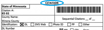 State Citation Example