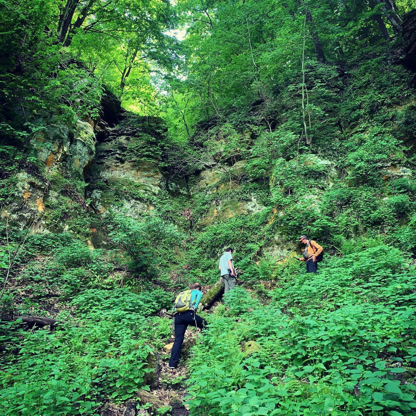 image of 3 people hiking on the holzinger trails 