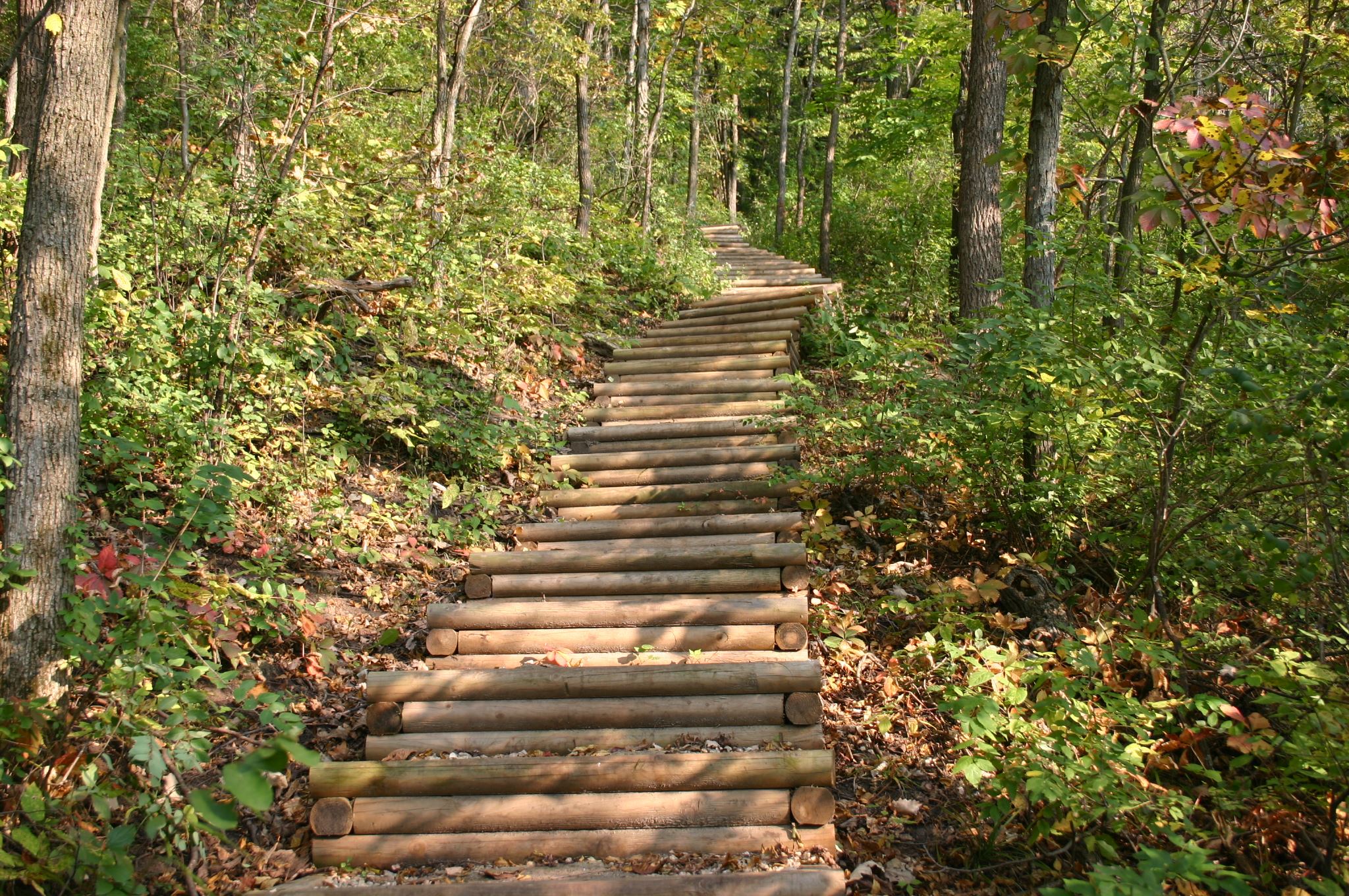 Garvin Heights trail 